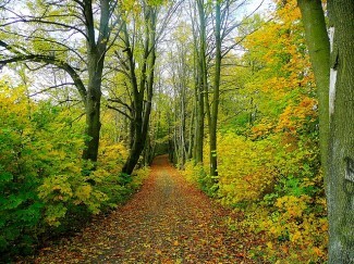 Wenn Depressionen uns schlagen wollen, wie können wir dann auch mit Depressionen weiterleben? Lesen Sie diese Tipps zum Umgang mit Depressionen.