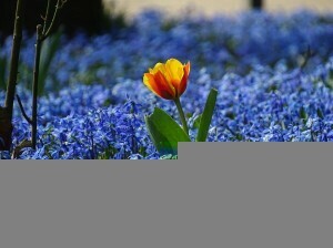 Frühlingsferien mit Essstörungen zu überleben, bedeutet manchmal, mit Essstörungen umzugehen. Alles was Sie wollen, ist ein gutes Essen. Kannst du es verstehen? Lesen Sie dies.