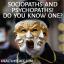 Soziopathen und Psychopathen! Kennst du einen?